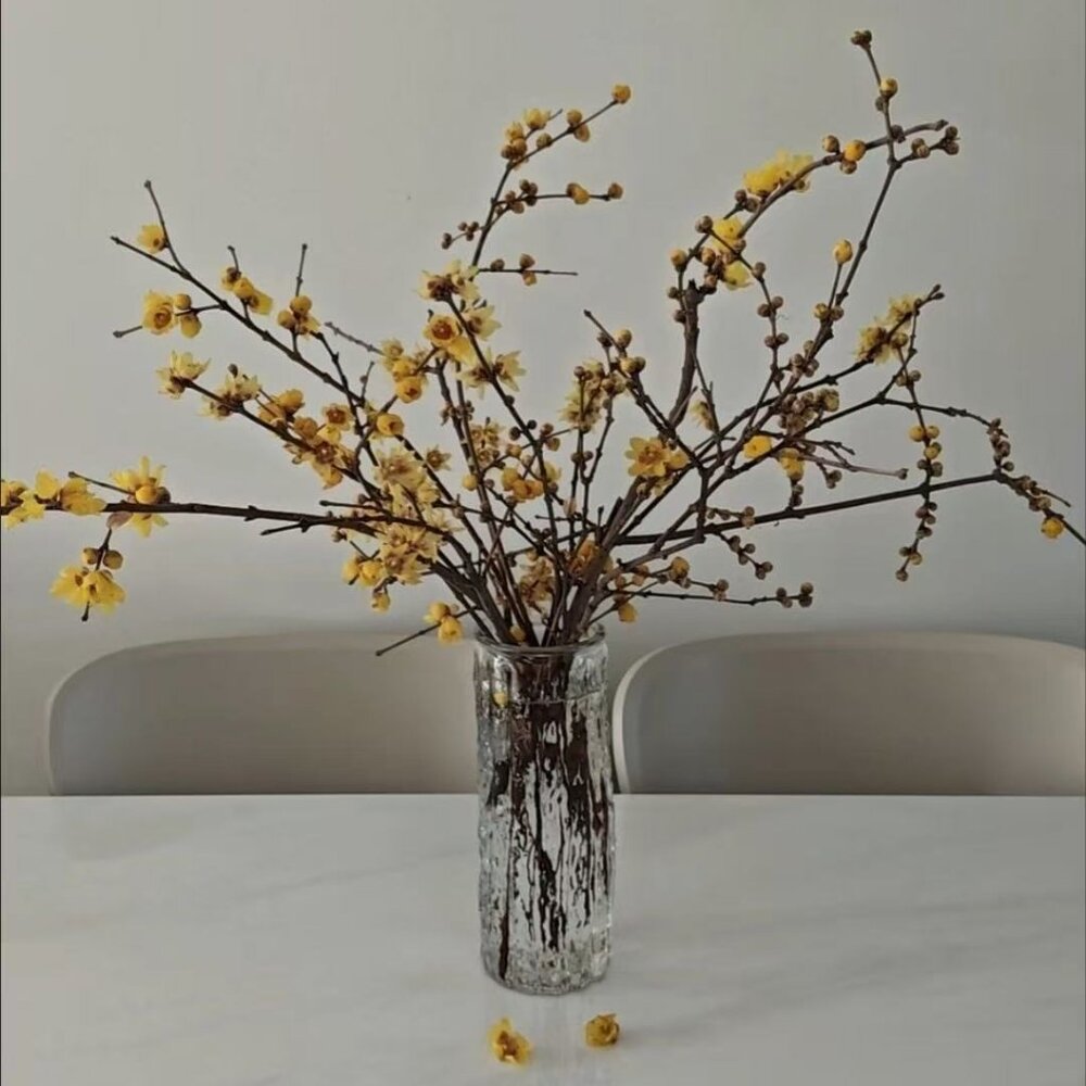 Clear Glass Vase for Flower Arrangements | Modern Textured Glass Vase for Home D